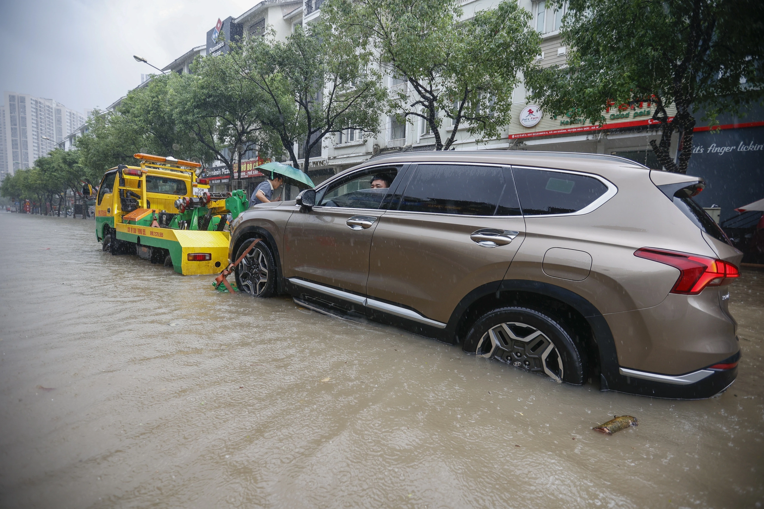 Đối phó đường ngập nước: Hướng dẫn lái xe an toàn cho tài xế mùa mưa